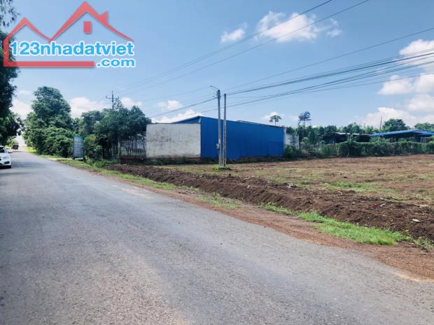 KẸT TIỀN TÔI BÁN 1000M2 ĐẤT THỔ CƯ MT ĐƯỜNG TỈNH LỘ  ĐỐI DIỆN KCN  CHỢ GIÁ 590 TRIỆU