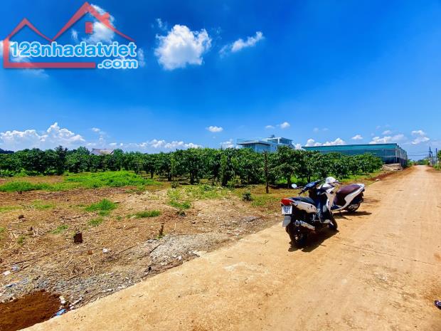 ĐẤT VEN DALAT | CÁCH SÂN BAY DALAT CHỈ 4.5 KM