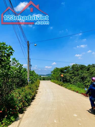 ĐẤT VEN DALAT | CÁCH SÂN BAY DALAT CHỈ 4.5 KM - 3