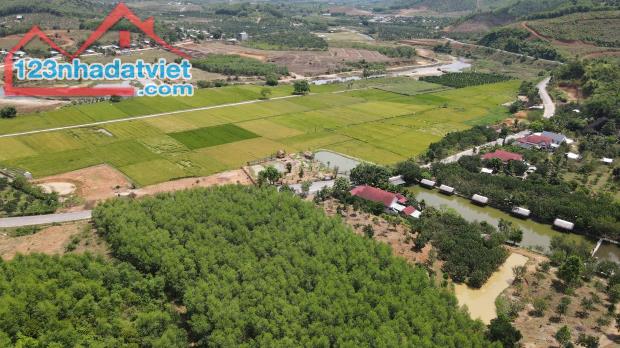 bán 1.000m2 đất quy hoạch thổ cư đường nhựa Hương Lộ 62 xã Khánh Phú, Khánh Vĩnh - 1