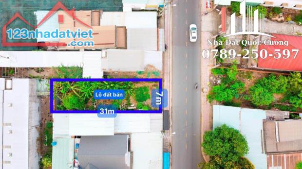 Bán đất 160m² MT Nguyễn Văn Tỷ, TT Củ Chi, giá chỉ 680 triệu,SHR - 1