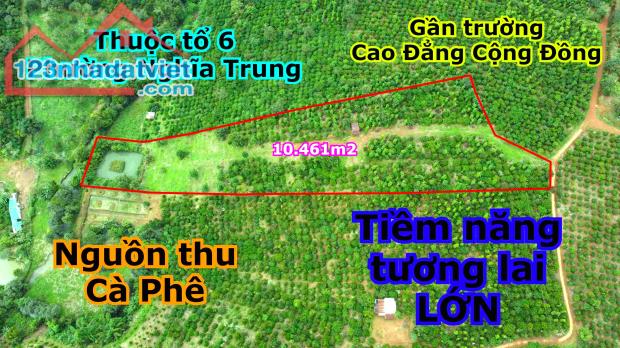 1ha đất phường gần trường cao đẳng giá rẻ,tiềm năng phát triển lớn