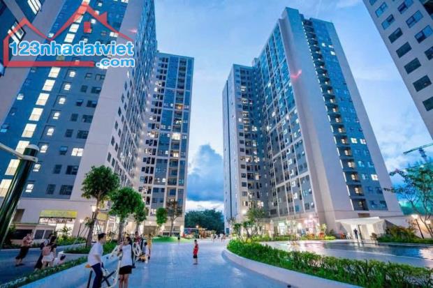 Tại sao nên chọn đầu tư vào căn hộ tại Seaview Tower?