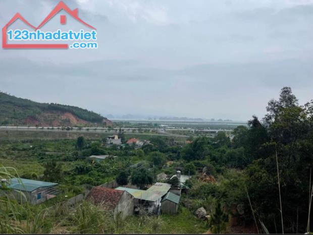 Bán 13,5Ha đất Rừng tại Cầu Trắng, Đại Yên.View toàn cảnh Siêu dự án Vinhomes Hạ Long Xanh