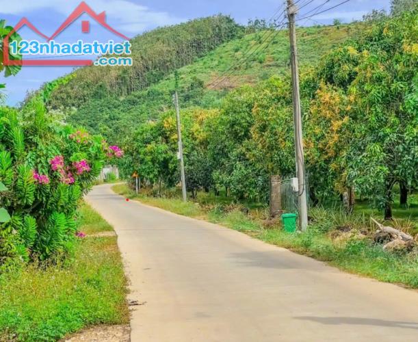 Đất vườn gần KCN lớn Định Quán, view sông núi đẹp, cơ hội đầu tư sinh lợi cao - 2