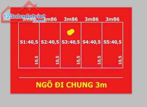 Bán lô đất ngõ Cát Vũ, Tràng Cát 40.5m2. Giá chỉ 840 triệu - 2