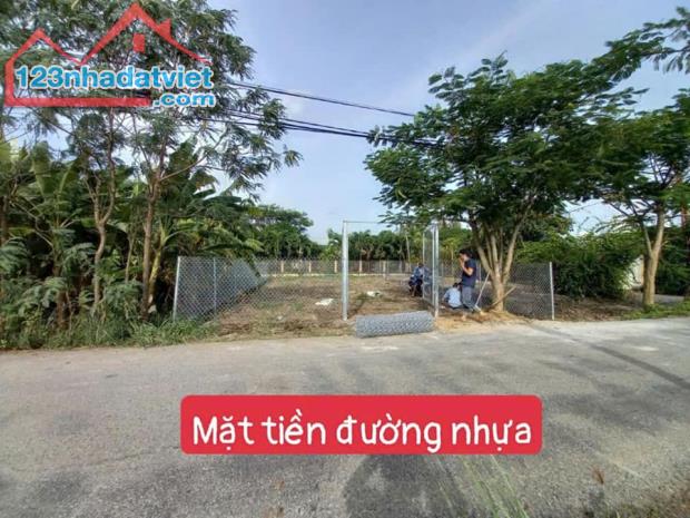 Bán đất Hóc Hưu, Qui Đức, Bình Chánh, Tp.HCM