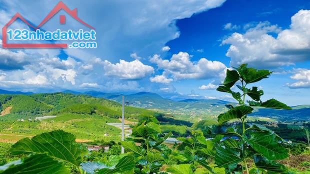 ĐẤT NGHỈ DƯỠNG VEN ĐÀ LẠT-VIEW THIÊN ĐƯỜNG--HỖ TRỢ NGÂN HÀNG 50% - 3