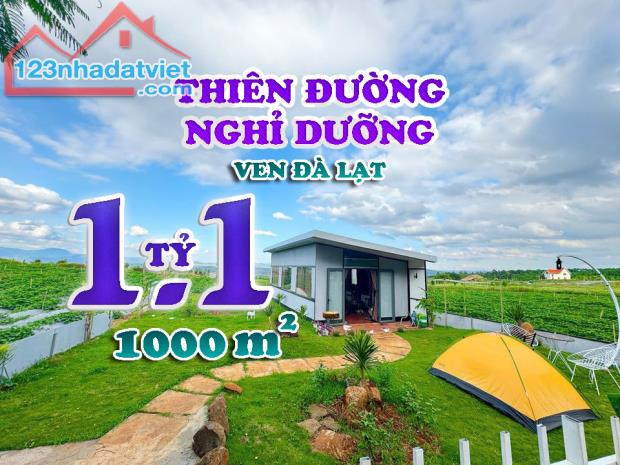 ĐẤT NỀN NGHỈ DƯỠNG VEN ĐÀ LẠT-VIEW TRIỆU ĐÔ-LÊN ĐÀ LẠT 30ph