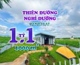 ĐẤT NỀN NGHỈ DƯỠNG VEN ĐÀ LẠT-VIEW TRIỆU ĐÔ-LÊN ĐÀ LẠT 30ph