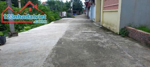 Bán 96.5m2 đất Đường Nhạn, Xuân Nộn, Đông Anh, Hà Nội - 2