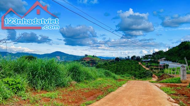 Đất Ven Dalat, Nam Hà, Huyện Lâm Hà, tỉnh Lâm Đồng - 3