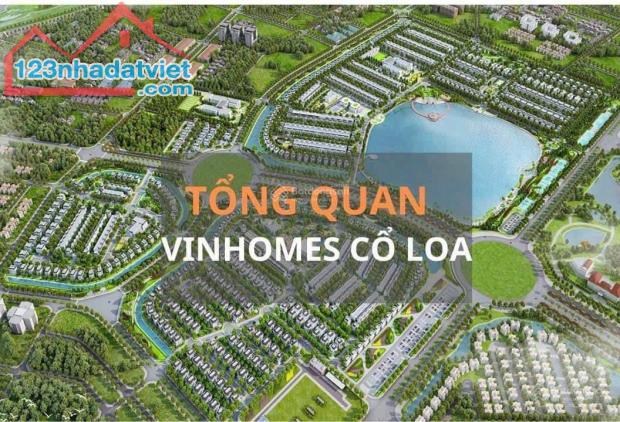 Vin Cổ Loa - Quỹ căn ngoại giao và quỹ thưởng: BT song lập, BT đơn lập, LK gần hồ