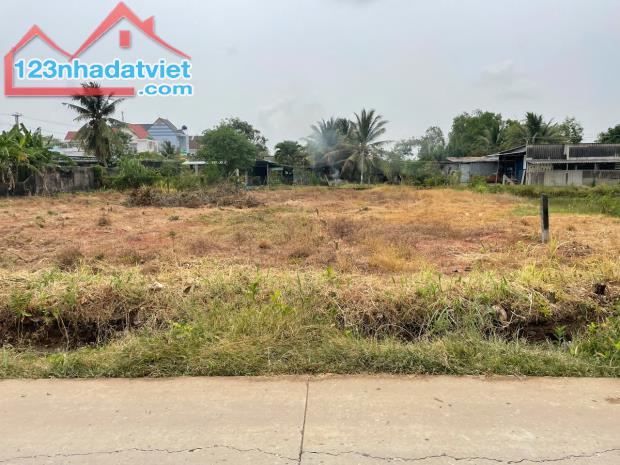 (15x37) đất thổ vườn , đường ôtô gần TL862, Chợ Tân Thành,  Gò Công Đông , Tiền Giang - 4