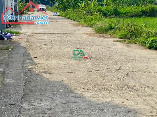 Bán đất 46,8m tại Đường Nhạn Xuân Nộn Đông Anh - 1