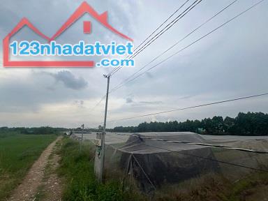 Bán Đất Xã Xuân Thới Thượng - Huyện Hóc Môn - TP. Hồ Chí Minh - 3