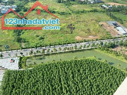 Chính Chủ Bán Căn Hộ Vinhomes Grand Park View Đẹp Phường Long Bình - TP Thủ Đức - Hồ Chí - 4