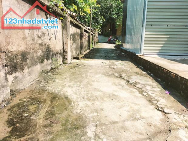 CHÍNH CHỦ BÁN ĐẤT ĐẠI LỘ NINH SỞ 40m2 1,85tỷ NGÕ NÔNG RỘNG HƠN 2M OTO VÀO NHÀ - 4