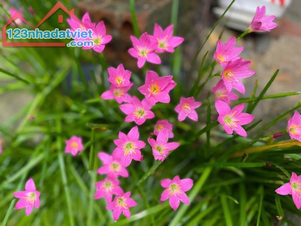 ❇️Chiết khấu lên đến 10% Biệt thự IRIS - liền kề DAHLIA- Ecogarden Huế.LH 0967139891 - 2