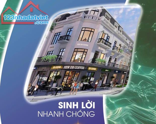 Bán nhanh lô shophouse đường 30m, dự án Caraworld. Giá kich sàn thích hợp đầu tư lâu dài. - 4