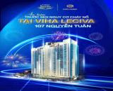 Bán căn hộ chung cư cao cấp dự án Viha Leciva - 107 Nguyễn Tuân- Thanh Xuân - Hà Nội