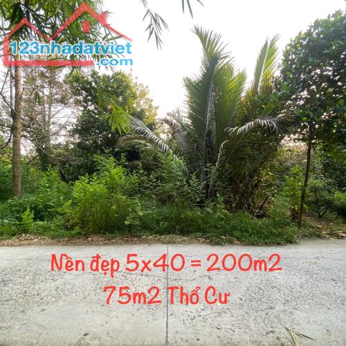 🔥750tr🔥 Nền Đẹp 200m2, Rạch Chuối, Mỹ Khánh, Phong Điền. - 1