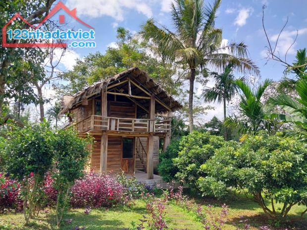 💥  BÁN LỖ NHÀ VƯỜN 1.600M2 VIEW HỒ CẠNH CAO TỐC BMT – NHA TRANG. CÓ 400M² THỔ CƯ - 1