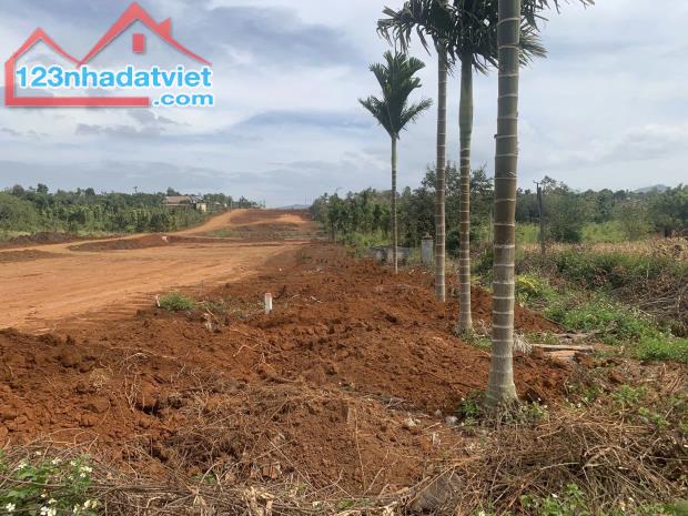 ✅3,5 sào 400m2 thổ cư mặt tiền cao tốc BMT- Nha Trang. - 2