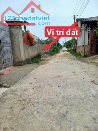 Bán đất trục chính Vinh Xá Dương Quang Mỹ Hào. - 1