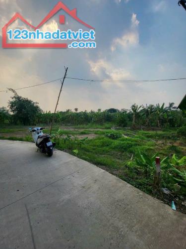 070🌋🌋BÁN NỀN THỔ CƯ RẠCH NGÃ BÁT. ĐƯỜNG VƯỜN MẬN GẦN BỆNH VIỆN NHI ĐỒNG, ĐH NAM CT, ĐH - 4