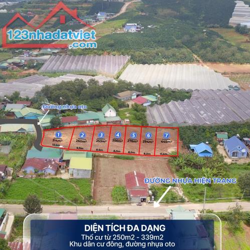 Đất Lạc Dương giá rẻ, Cách Đà Lạt chỉ 10km, Sổ riêng xây dựng, bằng phẳng cực đẹp - 3