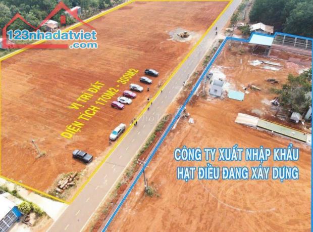 CƠ HỘI ĐẦU TƯ ĐẤT VÀNG TẠI BÌNH PHƯỚC - 1