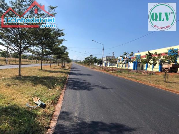 Cho thuê nhà xưởng 17.500 m2 trong KCN Đất Đỏ 1, BRVT - 1