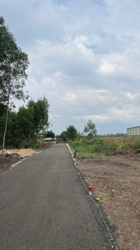 Cần Bán đất Long Phước. Long Thành. Đồng Nai. 125m2. Giá:1.5 tỷ - 1