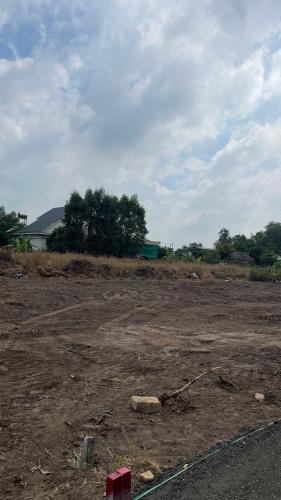 Cần Bán đất Long Phước. Long Thành. Đồng Nai. 125m2. Giá:1.5 tỷ - 2