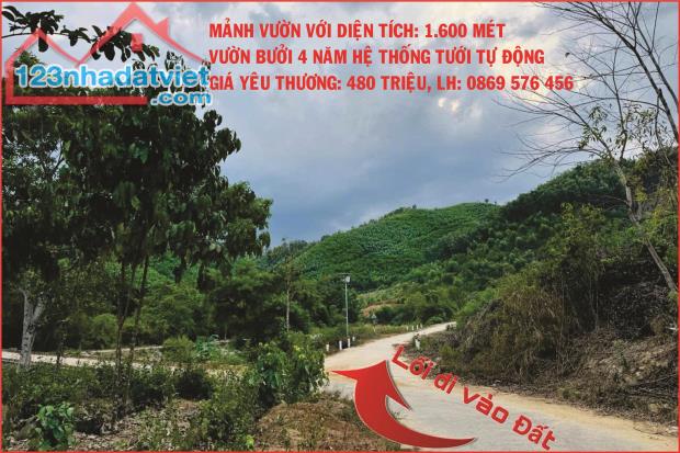 CẦN BÁN MẢNH VƯỜN BƯỞI TẠI XÃ KHÁNH THÀNH, KHÁNH VĨNH, KHÁNH HOÀ