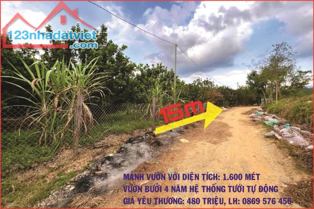 BÁN MẢNH VƯỜN CÓ TRỒNG BƯỞI 4 NĂM TẠI KHÁNH HIỆP - KHÁNH VĨNH - KHÁNH HOÀ - 2