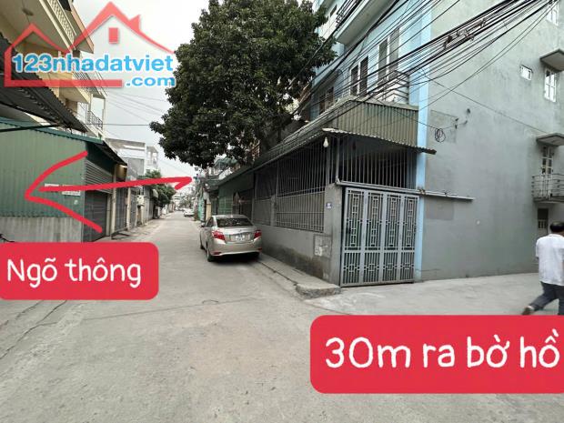 Bán đất ngõ 110 Lý Quốc Bảo tặng nhà cấp 4, thành phố hải dương - 2