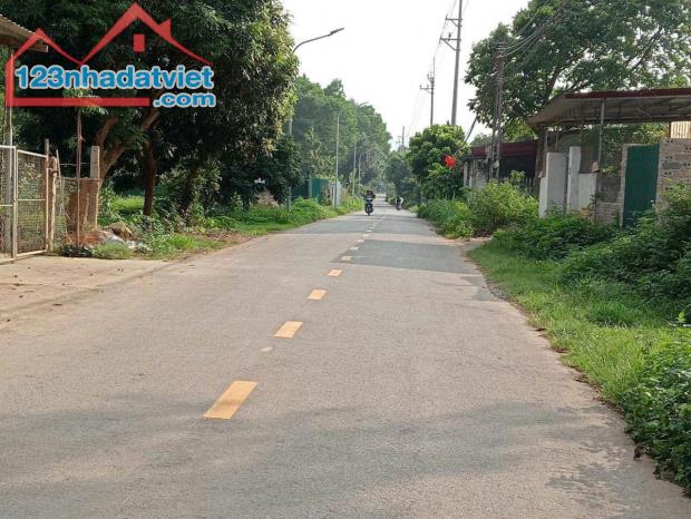 144M2 FULL ĐẤT Ở, TẠI SƠN ĐÔNG; GIÁ HƠN 2 TỶ - 2