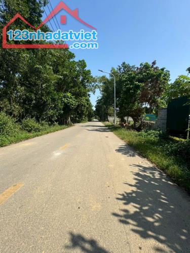 144M2 FULL ĐẤT Ở, TẠI SƠN ĐÔNG; GIÁ HƠN 2 TỶ - 3