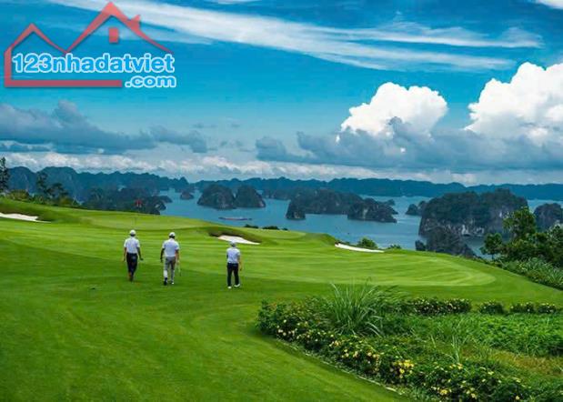 Chuyển nhượng Dự án Sân golf 18 hố FLC Hạ Long Golf Club & Resort Quảng Ninh