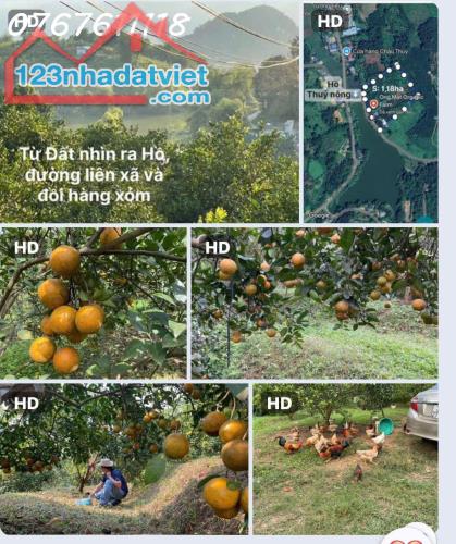 Bán đất Nhân Mỹ Tân Lạc,gần QL6,view hồ tự nhiên,xây nhà vườn sang xịn, 1.2ha,dư 3 tỷ - 1