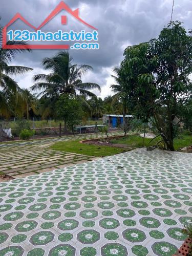 BÁN ĐẤT 5000M2 BÌNH LỢI, BÌNH CHÁNH, GIÁ 17 TỶ