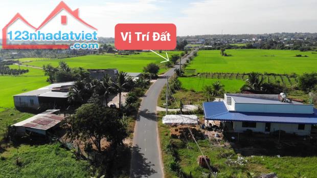 Mặt tiền đường nhựa 20m gần trường tiểu học Thuận Minh chỉ 490 triệu/lô - 3