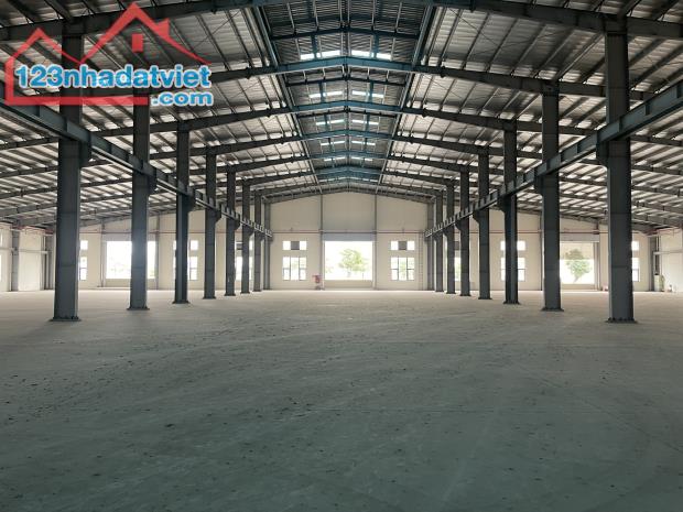 CHO THUÊ KHO XƯỞNG 12500M2 CỤM NHÀ XƯỞNG 5HA LƯƠNG BÌNH, BẾN LỨC, LONG AN - 1