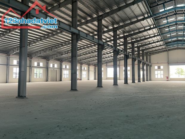 CHO THUÊ KHO XƯỞNG 12500M2 CỤM NHÀ XƯỞNG 5HA LƯƠNG BÌNH, BẾN LỨC, LONG AN - 3