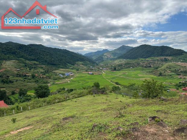 Bán đất nghỉ dưỡng 5000m2 view đồi chè xanh mát, tiềm năng homestay - 2