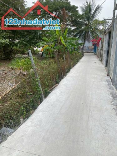 Bán nhanh lô đất 2000m2, Góc 2 mặt đường Xe Hơi , xã Bình Chánh, huyện Bình Chánh - 2