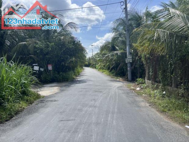 Bán gấp 4 công đất Mỹ Phong. Đất TP Mỹ Tho giá rẻ hơn Tân Phước. - 1