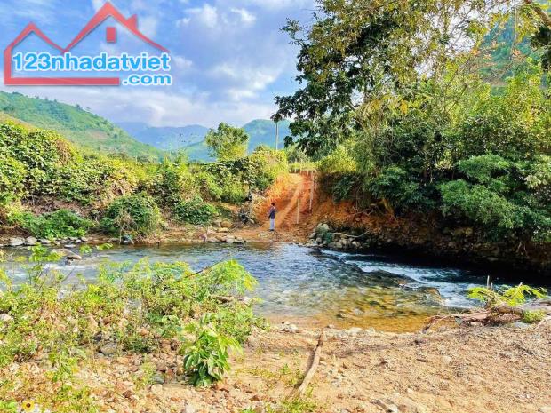 bán 1 hecta giáp Suối làm nhà vườn, homestay view đẹp khí hậu trong mát huyện Khánh Sơn